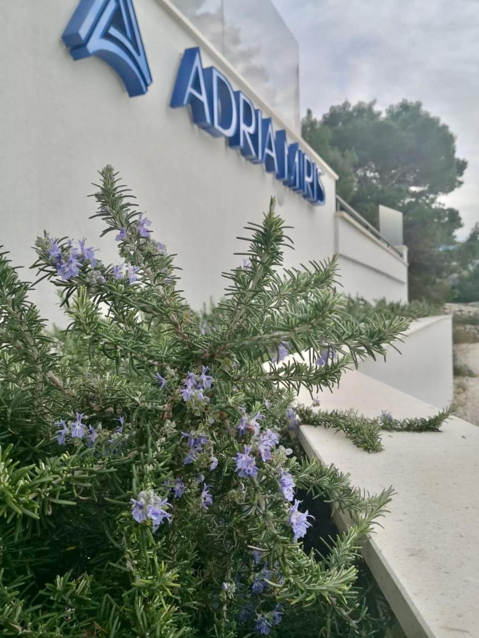 Adria Miris Apartments Drasnice Kültér fotó